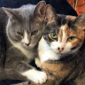 Meet your Posher, Heidi